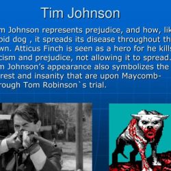 Tim johnson from to kill a mockingbird