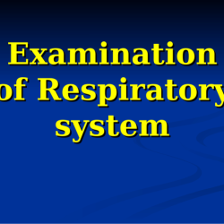 Rn learning system medical surgical respiratory practice quiz