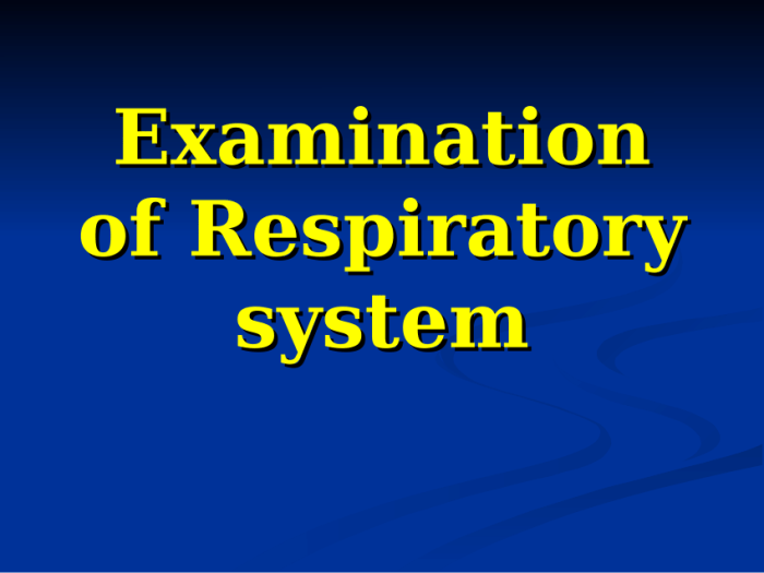 Rn learning system medical surgical respiratory practice quiz